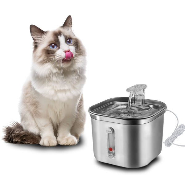 PetitePaws Fresh Fountain